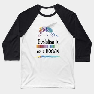 Evolution is not a hoax Hox Genes Similarities Housefly and centipede Baseball T-Shirt